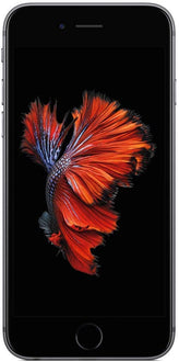 Apple iPhone 6s (Space Grey, 32 GB)